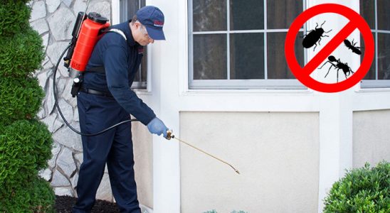 Çamdibi Tahtakurusu İlaçlama böcek ilaçlama ve haşere kontrolü — ilaclama-tr.com